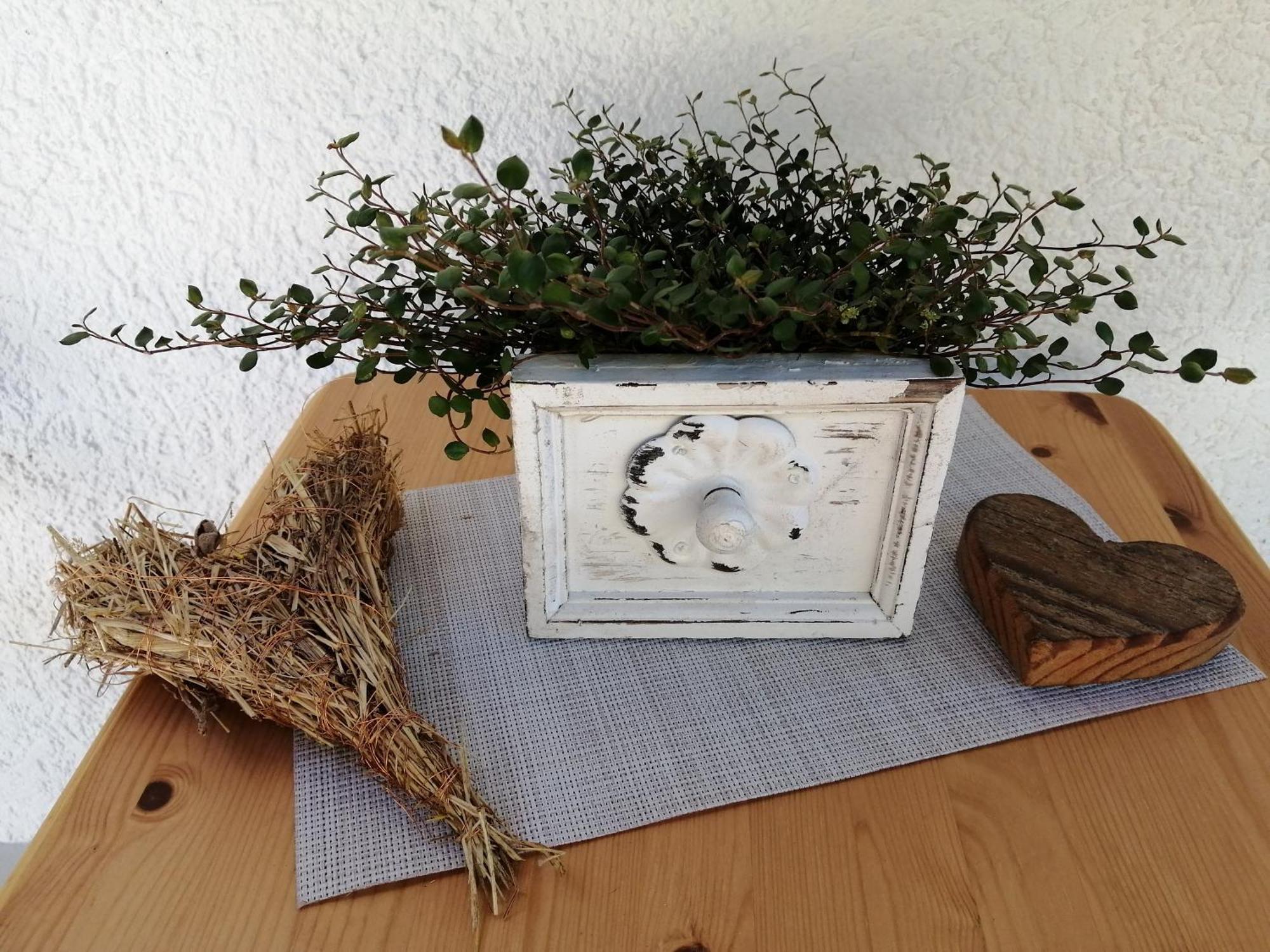 Ferienwohnung Deine Rauszeit Seebach Bagian luar foto