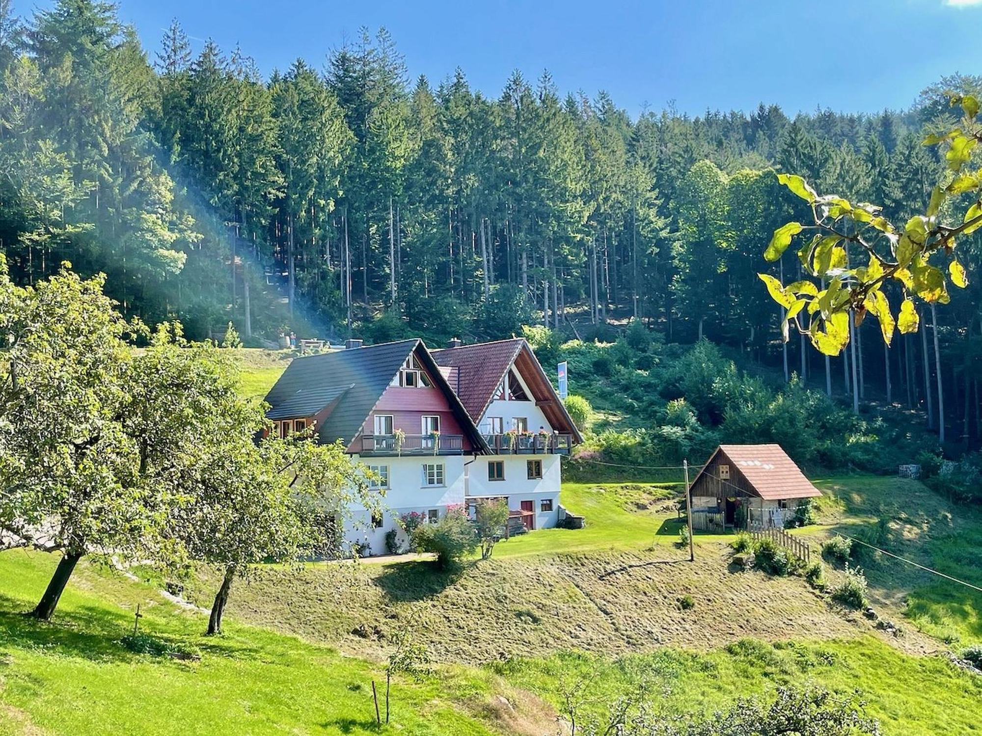 Ferienwohnung Deine Rauszeit Seebach Bagian luar foto